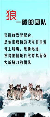 中国古代对天文的研亚新体育究(中国古代对天文学的贡献)